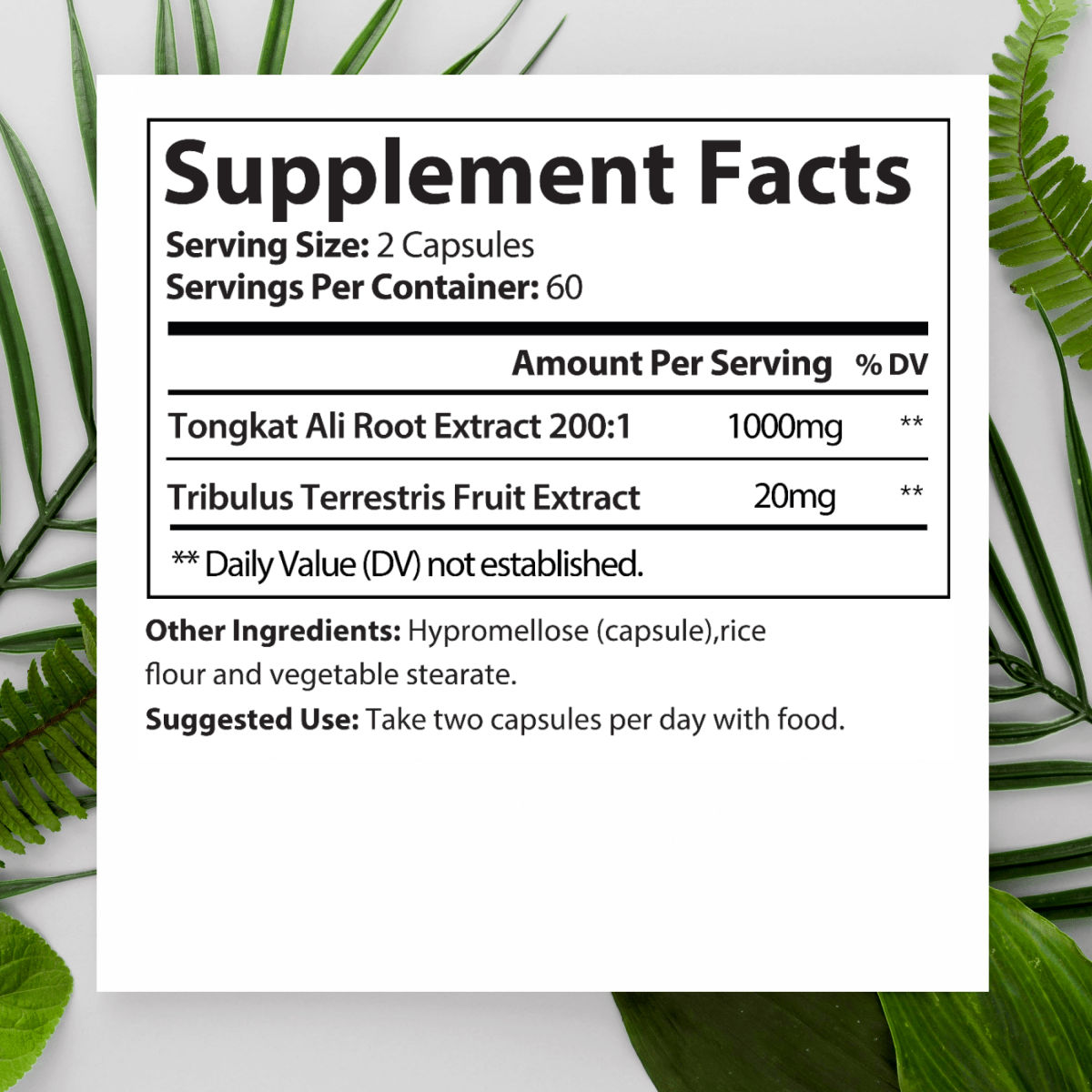 HARMONIFY Tongkat Ali for Men, Tribulus Terrestris Fruit Extract 120 Capsules, 1000 mg - HARMONIFY - HARMONIFY Tongkat Ali for Men, Tribulus Terrestris Fruit Extract 120 Capsules, 1000 mg - HARMONIFY - HARMONIFY Tongkat Ali for Men, Tribulus Terrestris Fruit Extract 120 Capsules, 1000 mg - HARMONIFY - Supplement - 024 - HRF - TonkatAliSupplement - HARMONIFY - Supplement - 850056258661